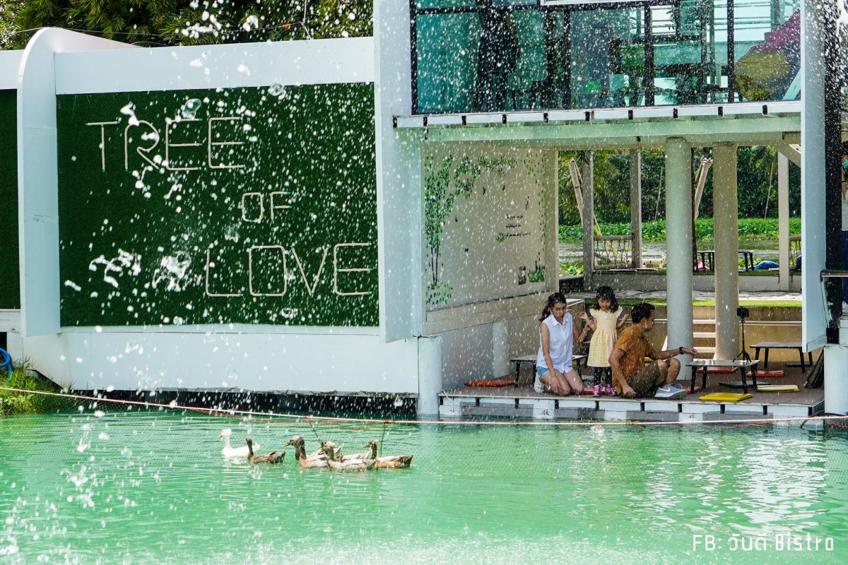 Tree of Love Riverside Cafe คาเฟ่ริมน้ำวิวดี มากี่ทีก็หลงรัก