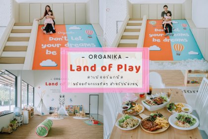 Organika Cafe & Play คาเฟ่ออร์แกนิค พร้อมกิจกรรมชิคๆ สำหรับน้องหนู