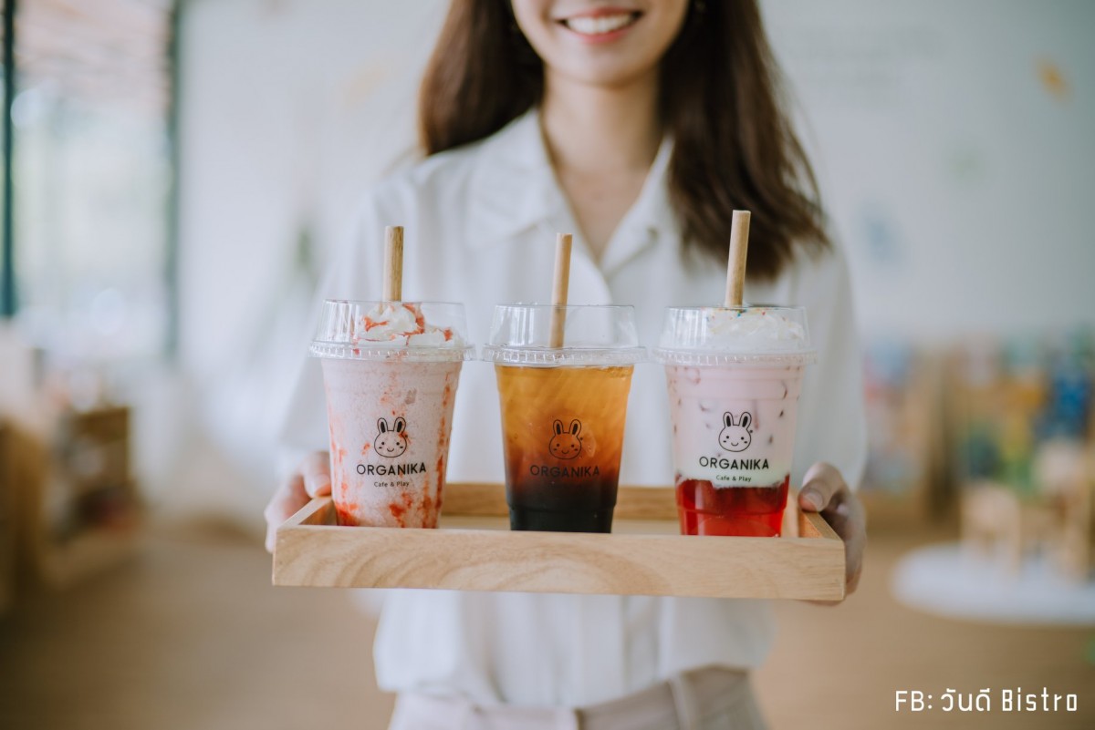 Organika Cafe & Play คาเฟ่ออร์แกนิค พร้อมกิจกรรมชิคๆ สำหรับน้องหนู
