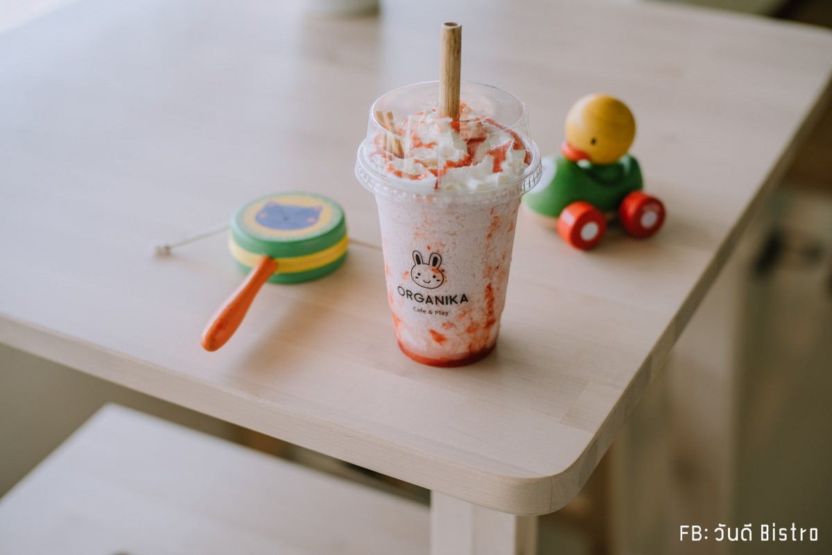 Organika Cafe & Play คาเฟ่ออร์แกนิค พร้อมกิจกรรมชิคๆ สำหรับน้องหนู