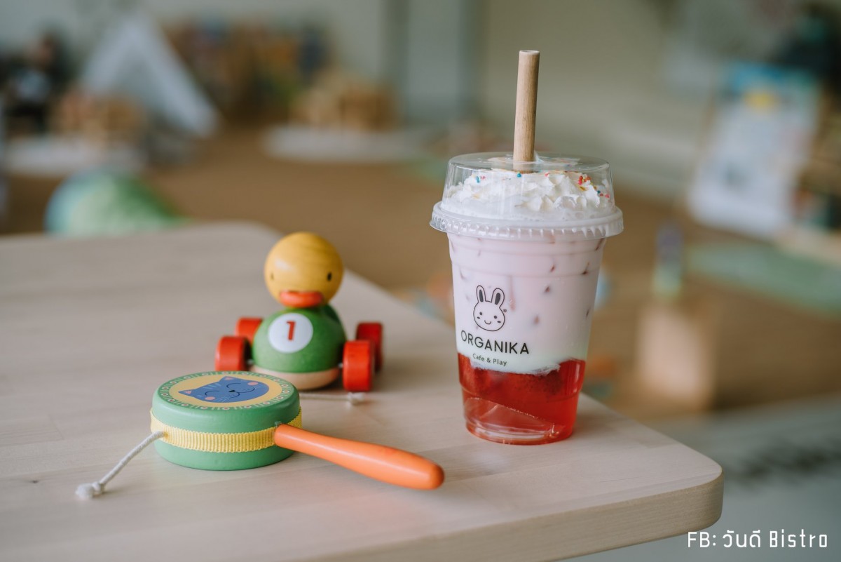 Organika Cafe & Play คาเฟ่ออร์แกนิค พร้อมกิจกรรมชิคๆ สำหรับน้องหนู