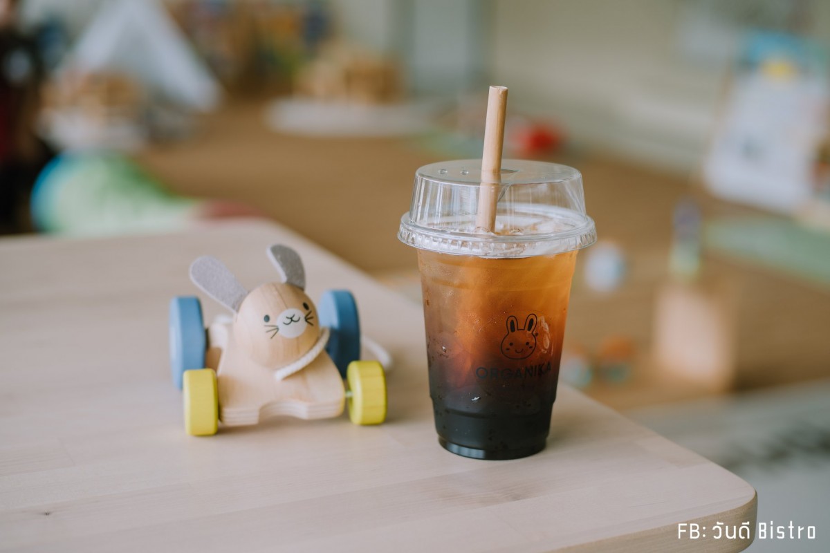 Organika Cafe & Play คาเฟ่ออร์แกนิค พร้อมกิจกรรมชิคๆ สำหรับน้องหนู