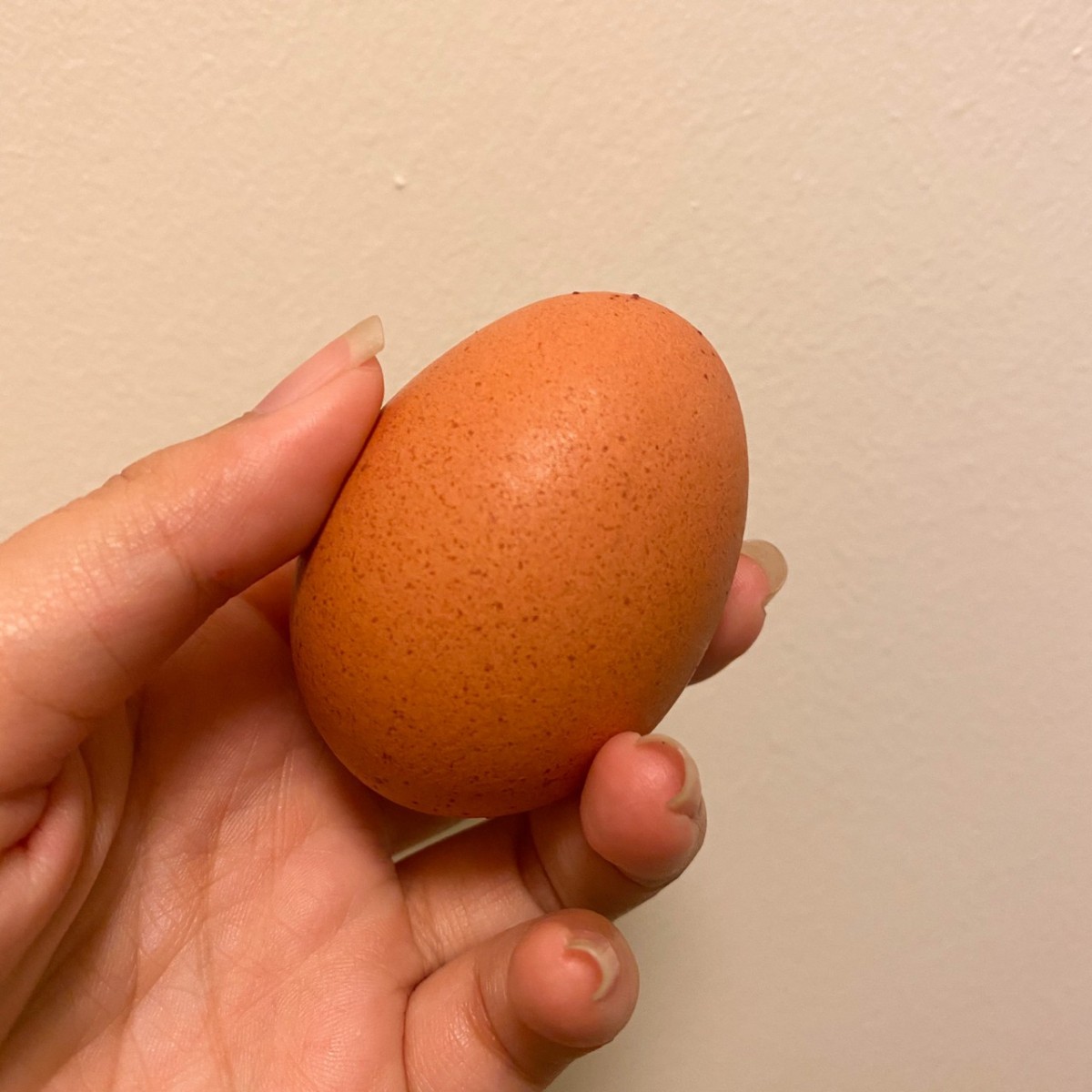 ไข่เจียวหม้อทอด กรอบฟู ไม่ต้องกลัวน้ำมันกระเด็น