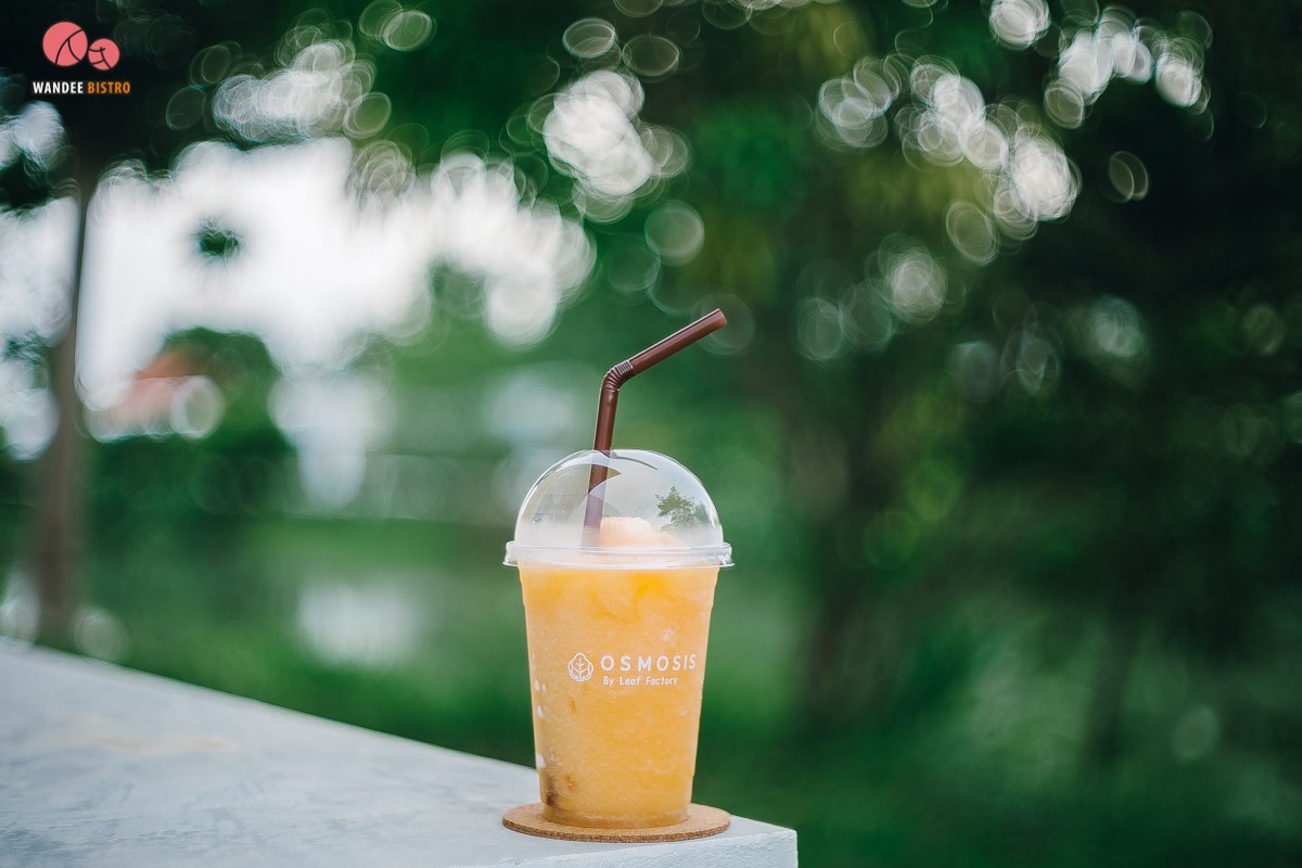 Osmosis by Leaf Factory คาเฟ่เรือนกระจกในสวนผัก