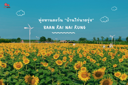 ทุ่งทานตะวัน บ้านไร่นายรุ่ง กาญจนบุรี จุดถ่ายรูปแห่งใหม่เปิดถึง 29 พ.ย.นี้