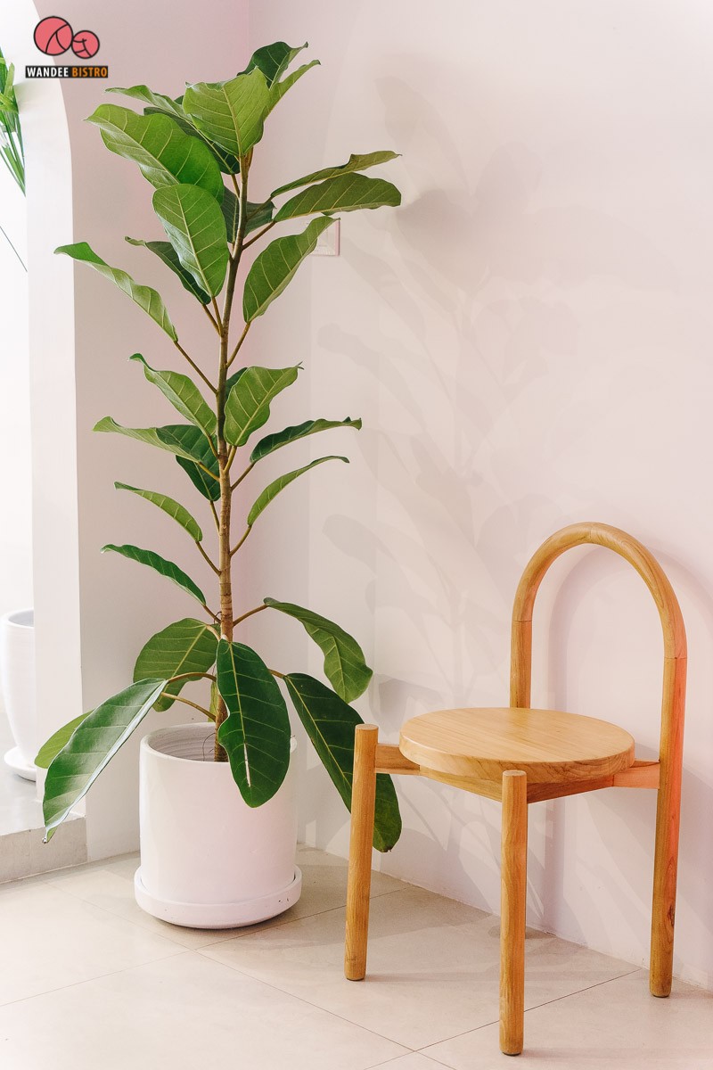 Bless Bar Café คาเฟ่สีขาวเอาใจสายมินิมอล