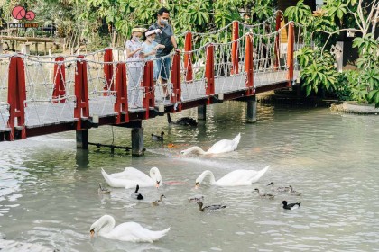 Say Hay Cafe & Cuisine คาเฟ่บรรยากาศดี ที่มีสัตว์สุดยูนีคให้ดูกันเพลินๆ