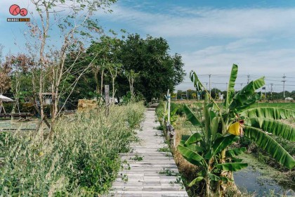 โอบอวล ร้านจัดจ้านย่านศาลายา ที่เดียวครบเมนูไทย-อีสาน และวิวทุ่งนาสวยๆ