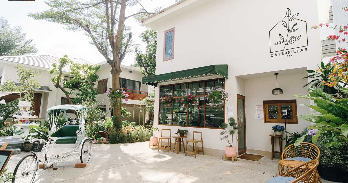 Caterpillar cafe เมนูวัตถุดิบระดับพรีเมียม ในคอนเซปท์ชุมชนความสุขเล็กๆ ย่านงามวงศ์วาน