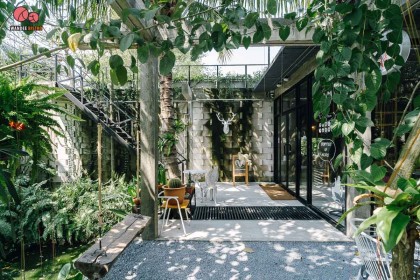 ป่าก์ Cafe ร้านอาหารป่าสไตล์โมเดิร์นล๊อฟ กลมกลืนไปกับธรรมชาติ