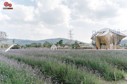 Bliss & Bloom Cafe เสมือนหลุดเข้าไปในโลกของดอกไม้ตั้งแต่ก้าวแรกที่มาถึง