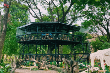 Chompha Cafe ร้านกาแฟบ้านต้นไม้ บรรยากาศร่มรื่น มีเมนูสำหรับสายวีแกน