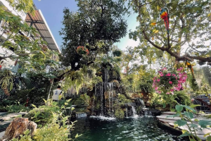 คริสตัลคาเฟ่ โคราช รื่นรมย์ไปกับสวนน้ำตกและสีเขียวของสวนป่าภายในร้าน 
