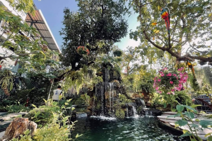 คริสตัลคาเฟ่ โคราช รื่นรมย์ไปกับสวนน้ำตกและสีเขียวของสวนป่าภายในร้าน 