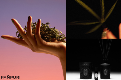 ผ่อนคลายไปกับ Voyage of Curiosities Haze of Grass คอลเลคชั่นเครื่องหอมตกแต่งบ้าน จากปัญญ์ปุริ