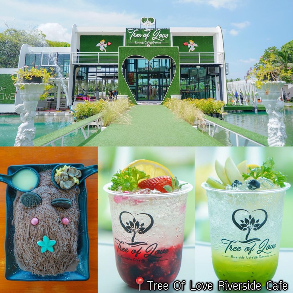 รวม คาเฟ่ เปิดใหม่ 2019