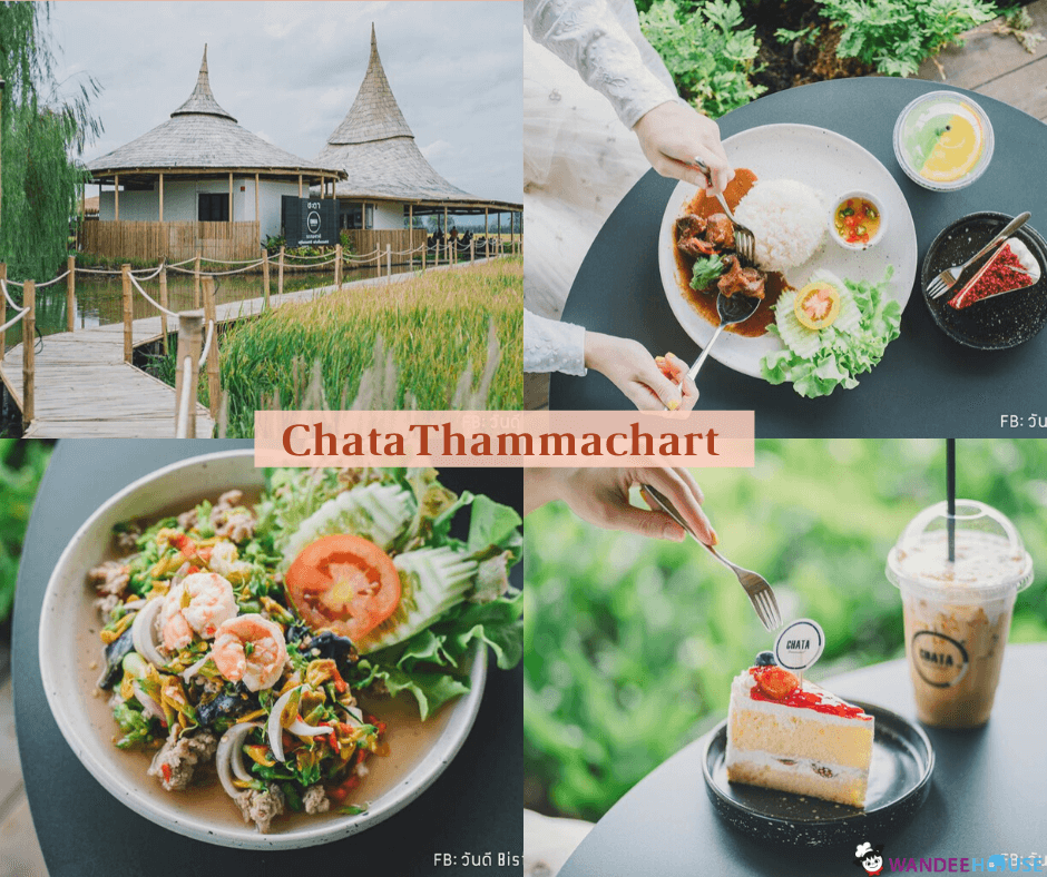 รวม 10 คาเฟ่นครปฐม เครื่องดื่มดี ขนมอร่อย มุมถ่ายรูปสวยมีสไตล์