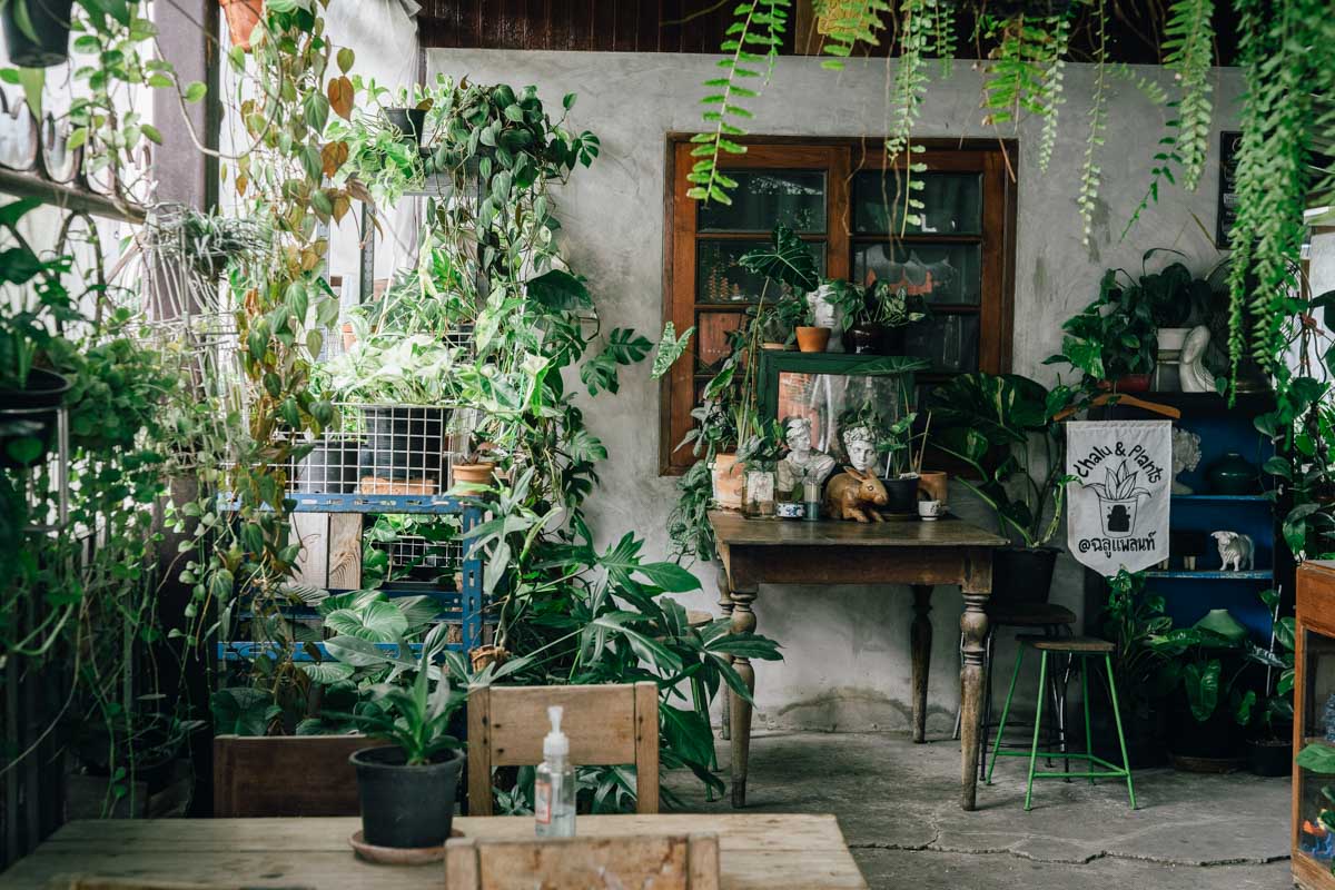 ฉลู คาเฟ่ บาร์กาแฟบนรถไซส์จิ๋ว บรรยากาศร่มรื่น 