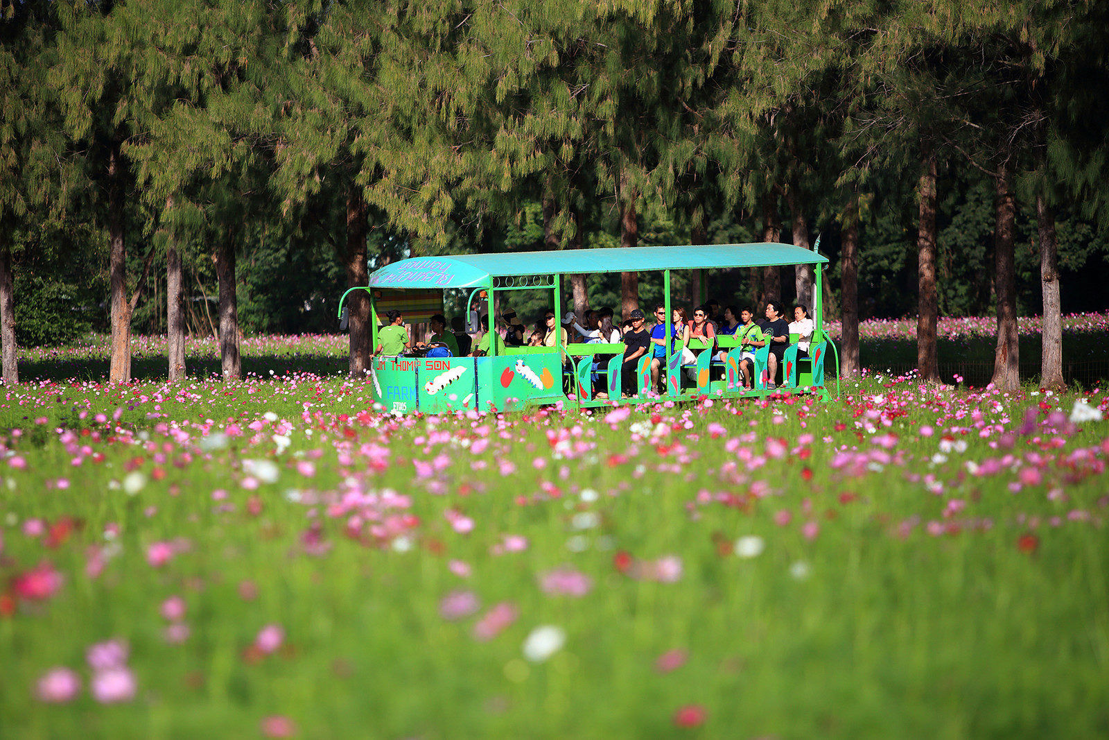 10 พิกัดสวนดอกไม้ เช็คอินถ่ายรูป สวยสุดๆ ทั่วเมืองไทย