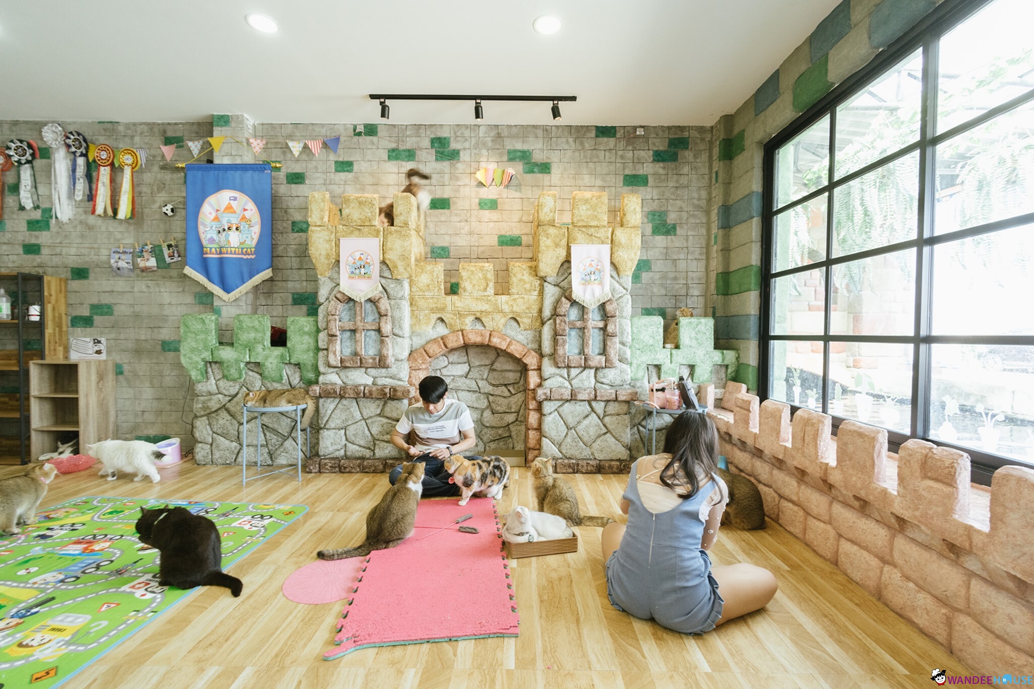 Play With Cat Cafe @นครปฐม คาเฟ่น้องเหมียว โดนใจทาสแมว