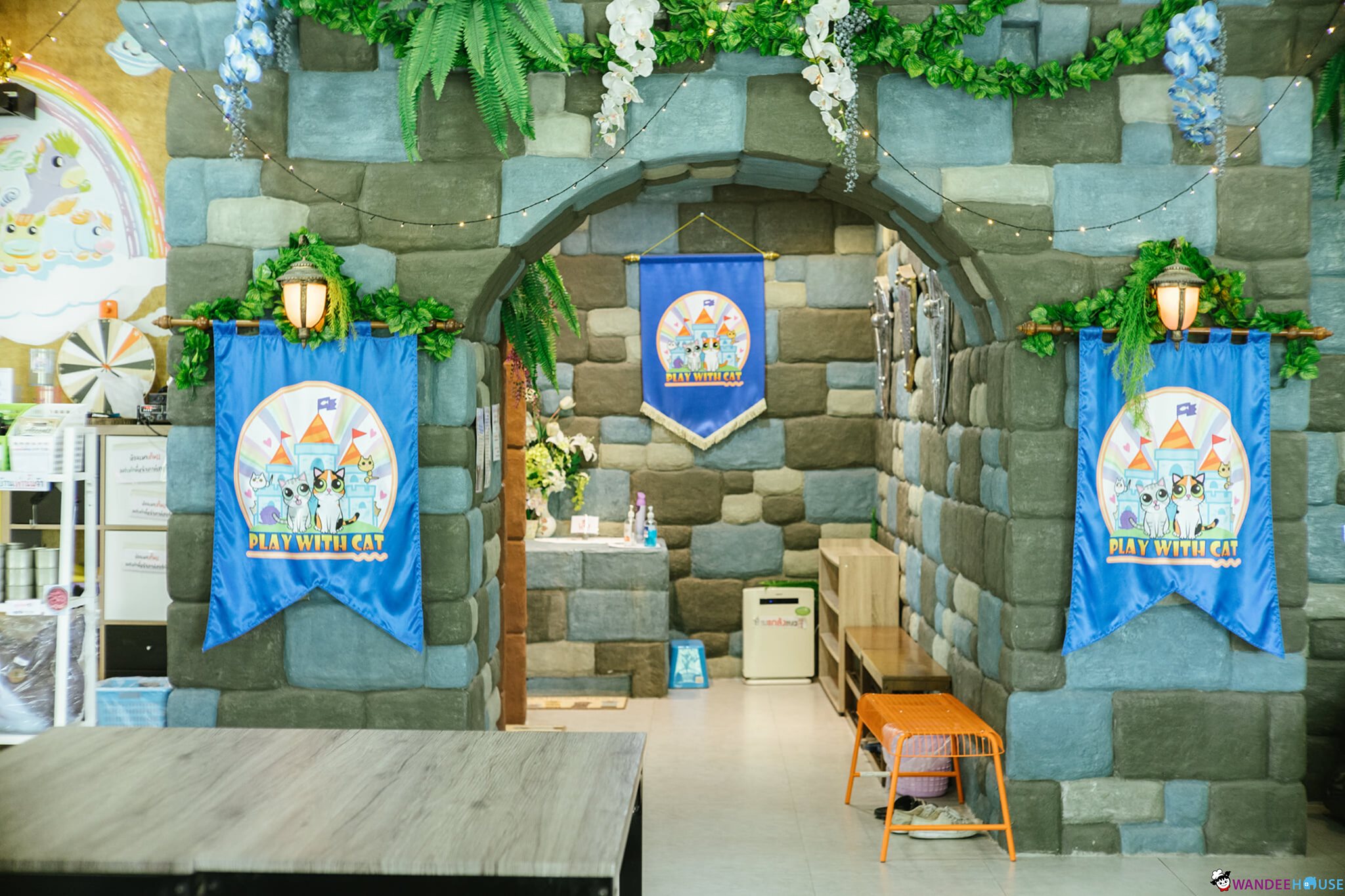 Play With Cat Cafe @นครปฐม คาเฟ่น้องเหมียว โดนใจทาสแมว