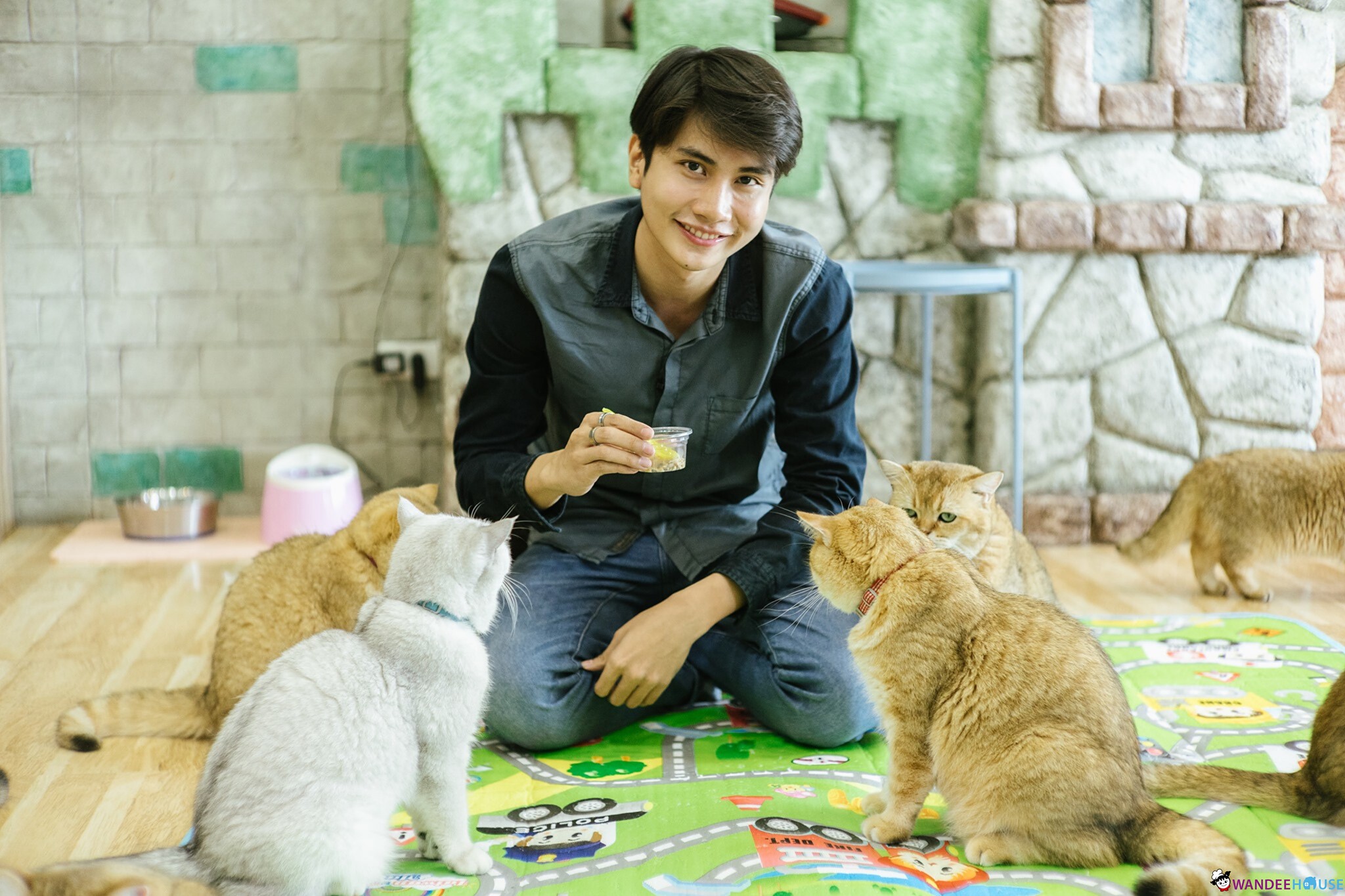 Play With Cat Cafe @นครปฐม คาเฟ่น้องเหมียว โดนใจทาสแมว