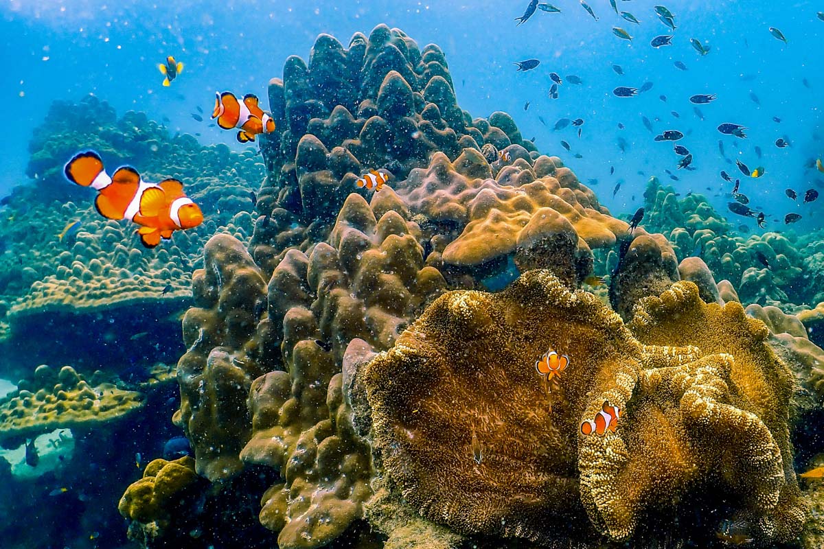 เกาะซาลิ (Sali Island)​ มัลดีฟส์แห่งทะเลพม่า ไปสะบัดผ้าถ่ายรูปกัน