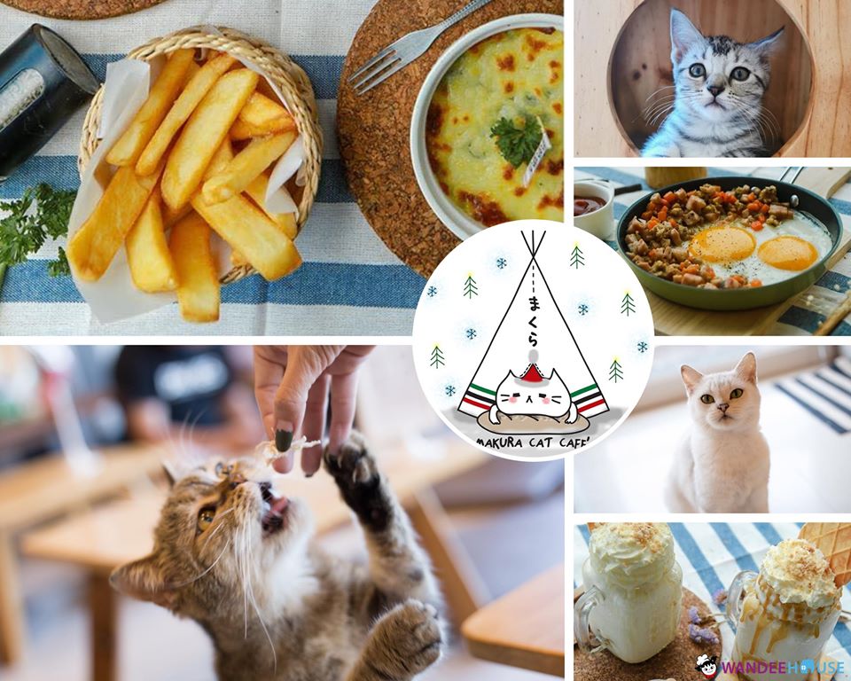 รวม 10 คาแฟ่หมาแมว อัปเดต 2020 น่ารักขนาดนี้..ไม่ไปไม่ได้แล้ว