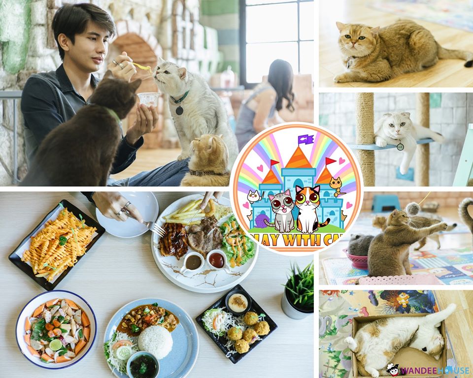 รวม 10 คาแฟ่หมาแมว อัปเดต 2020 น่ารักขนาดนี้..ไม่ไปไม่ได้แล้ว