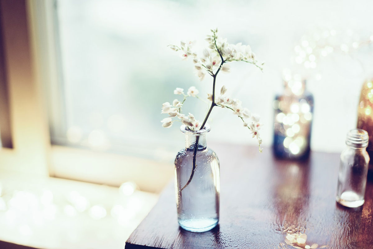 ไอเดียขวดแก้วใสและต้นไม้สีเขียว จัดมุมบ้านให้สดชื่นผ่อนคลาย