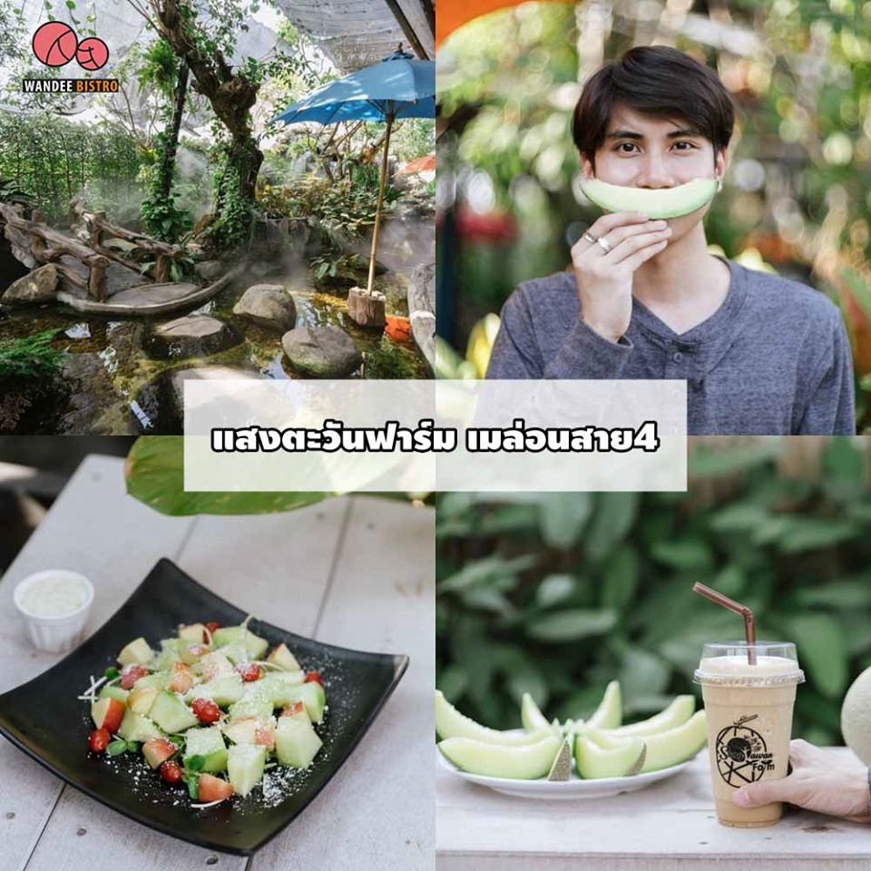 รวม 10 คาเฟ่นครปฐม คาเฟ่ใกล้เมืองกรุง วิวสวย อาหารอร่อย เครื่องดื่มชื่นใจ
