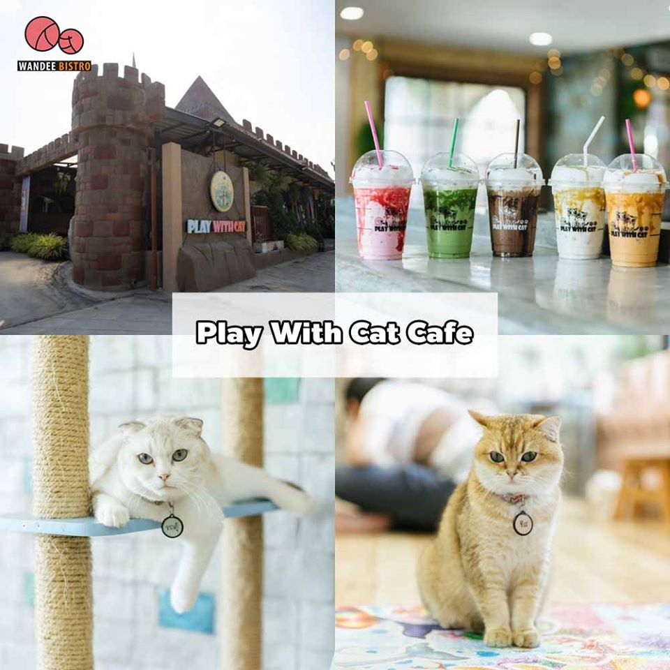 รวม 10 คาเฟ่นครปฐม คาเฟ่ใกล้เมืองกรุง วิวสวย อาหารอร่อย เครื่องดื่มชื่นใจ