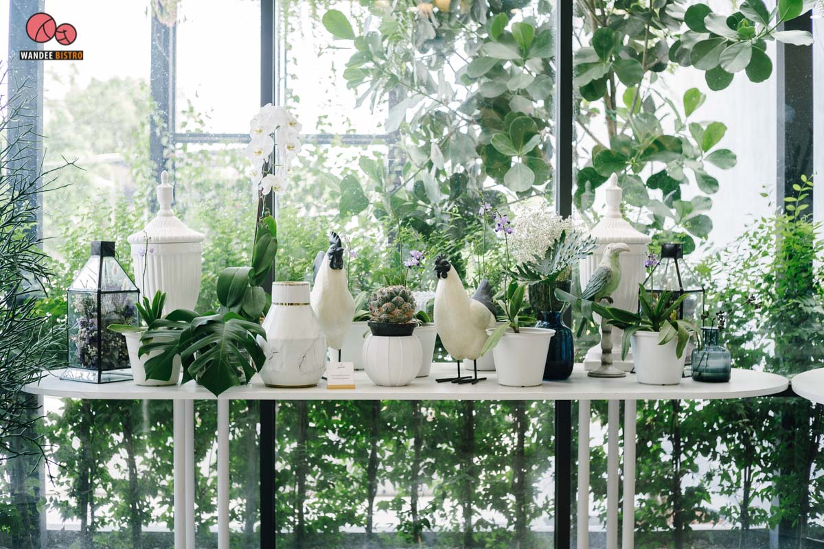 Boonta Flowers & Cafe คาเฟ่ดอกไม้เอาใจสายฟรุ้งฟริ้ง