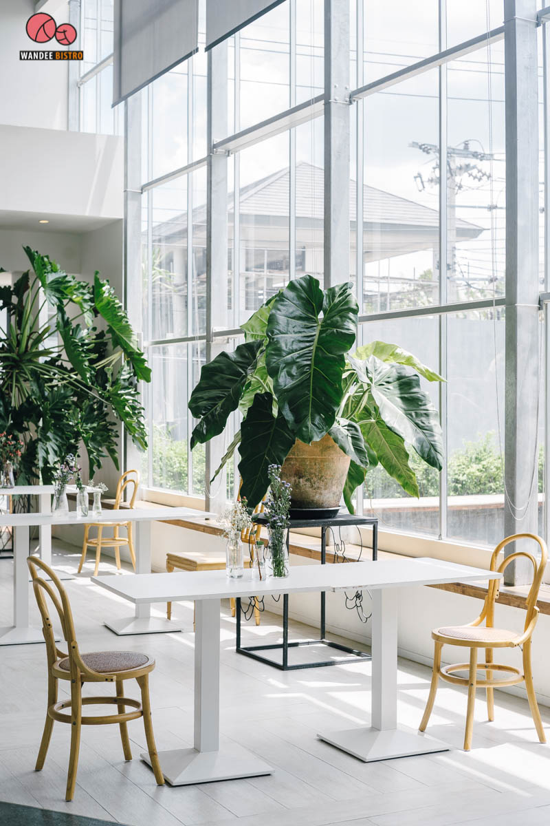 Boonta Flowers & Cafe คาเฟ่ดอกไม้เอาใจสายฟรุ้งฟริ้ง