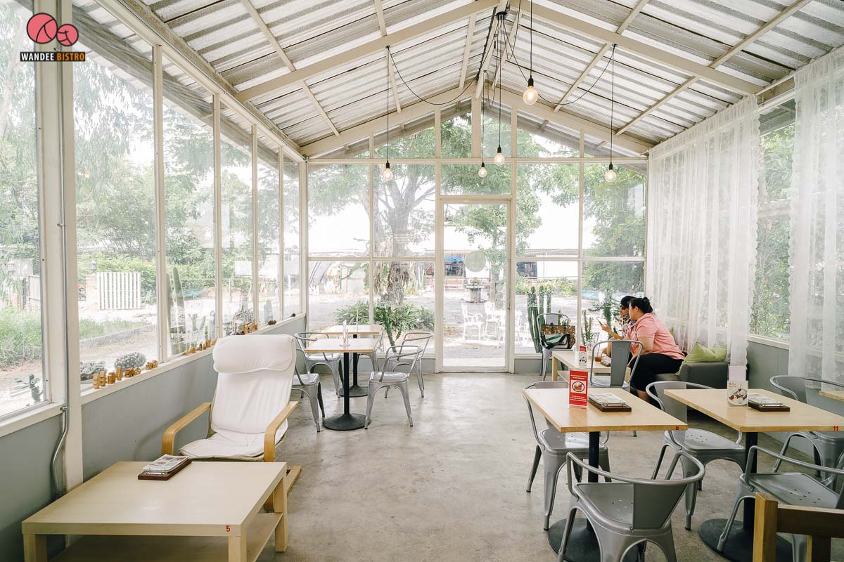 The Pine Farm & Cafe คาเฟ่ของคนรักแคคตัส คลองลัดมะยม