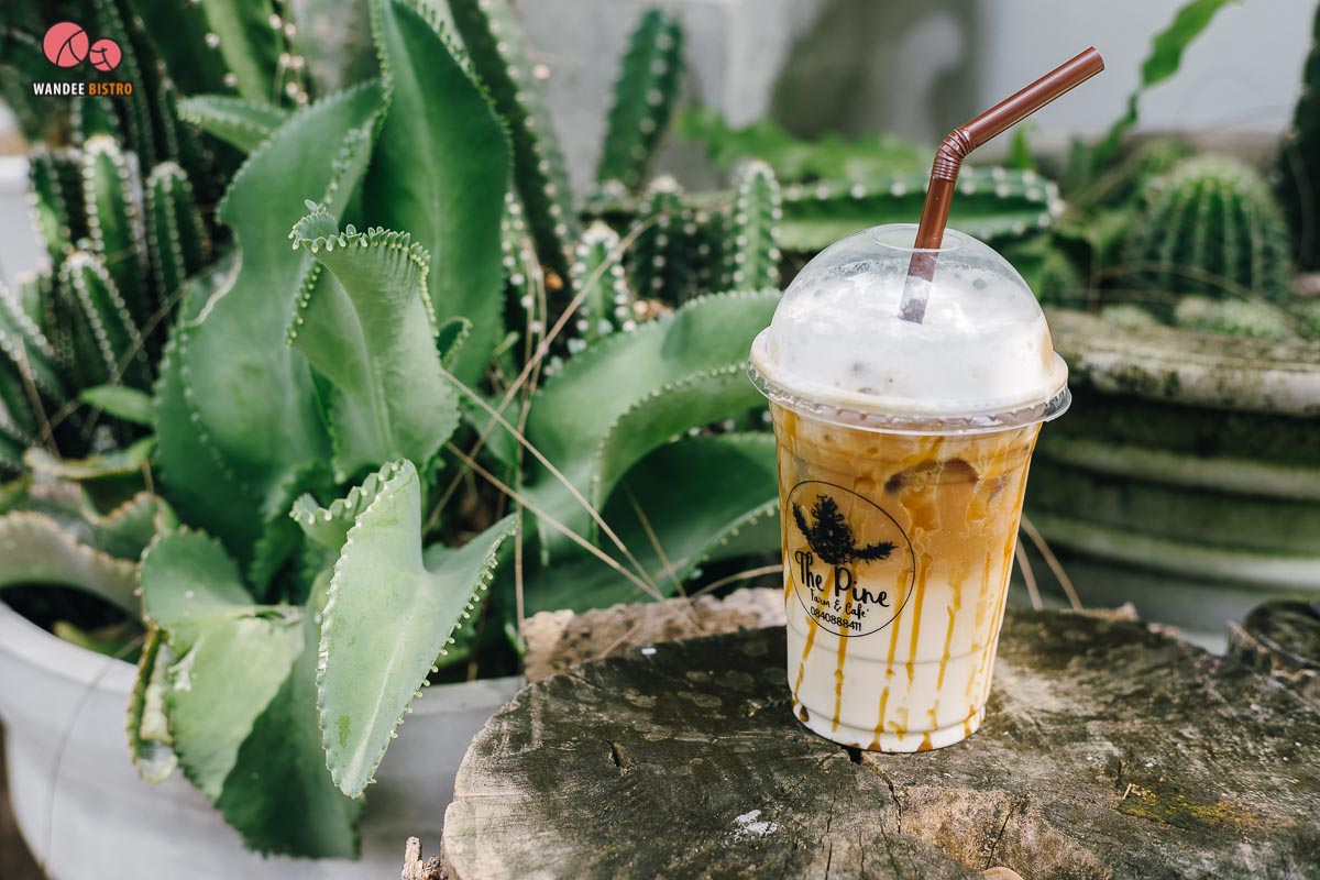 The Pine Farm & Cafe คาเฟ่ของคนรักแคคตัส คลองลัดมะยม