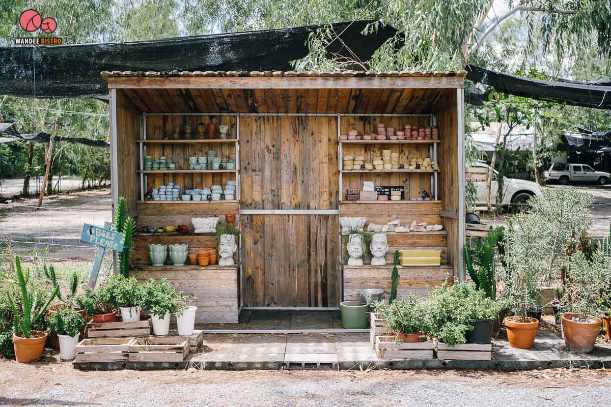 The Pine Farm & Cafe คาเฟ่ของคนรักแคคตัส คลองลัดมะยม