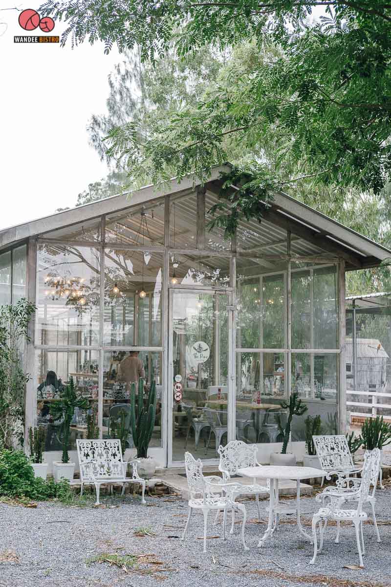 The Pine Farm & Cafe คาเฟ่ของคนรักแคคตัส คลองลัดมะยม