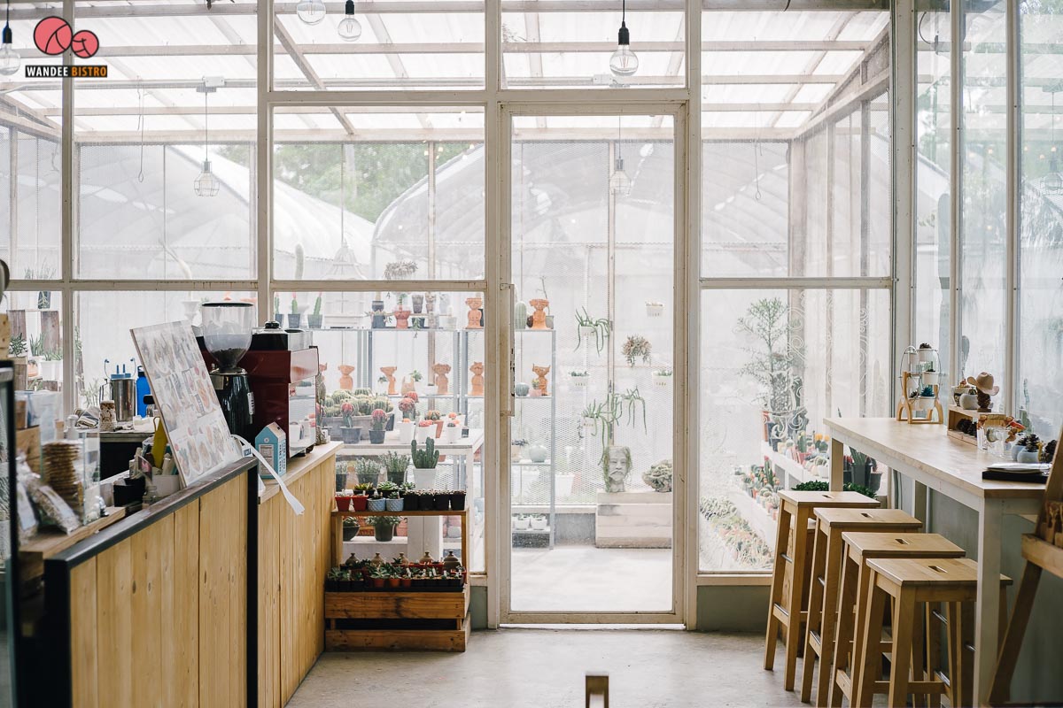 The Pine Farm & Cafe คาเฟ่ของคนรักแคคตัส คลองลัดมะยม