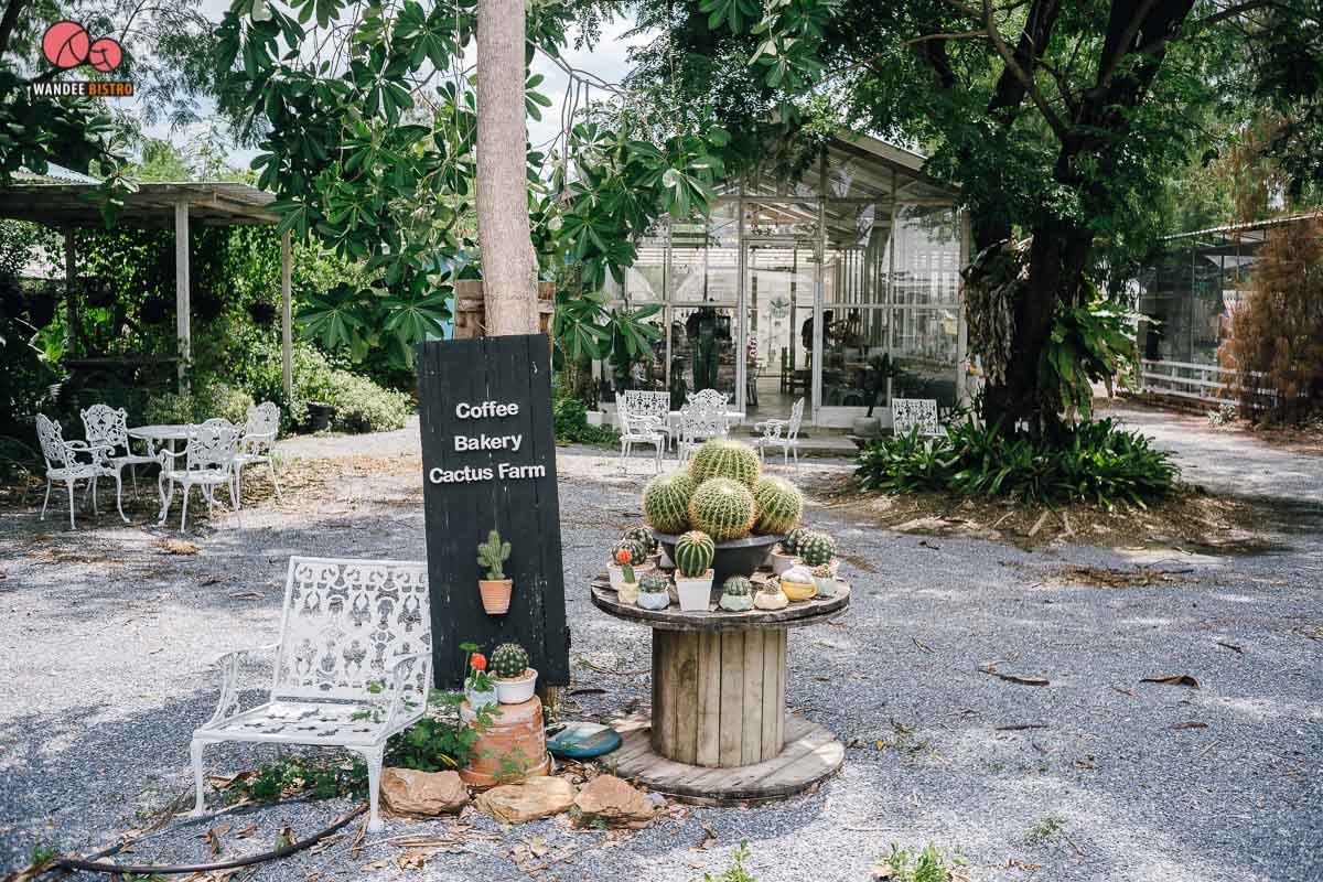 The Pine Farm & Cafe คาเฟ่ของคนรักแคคตัส คลองลัดมะยม