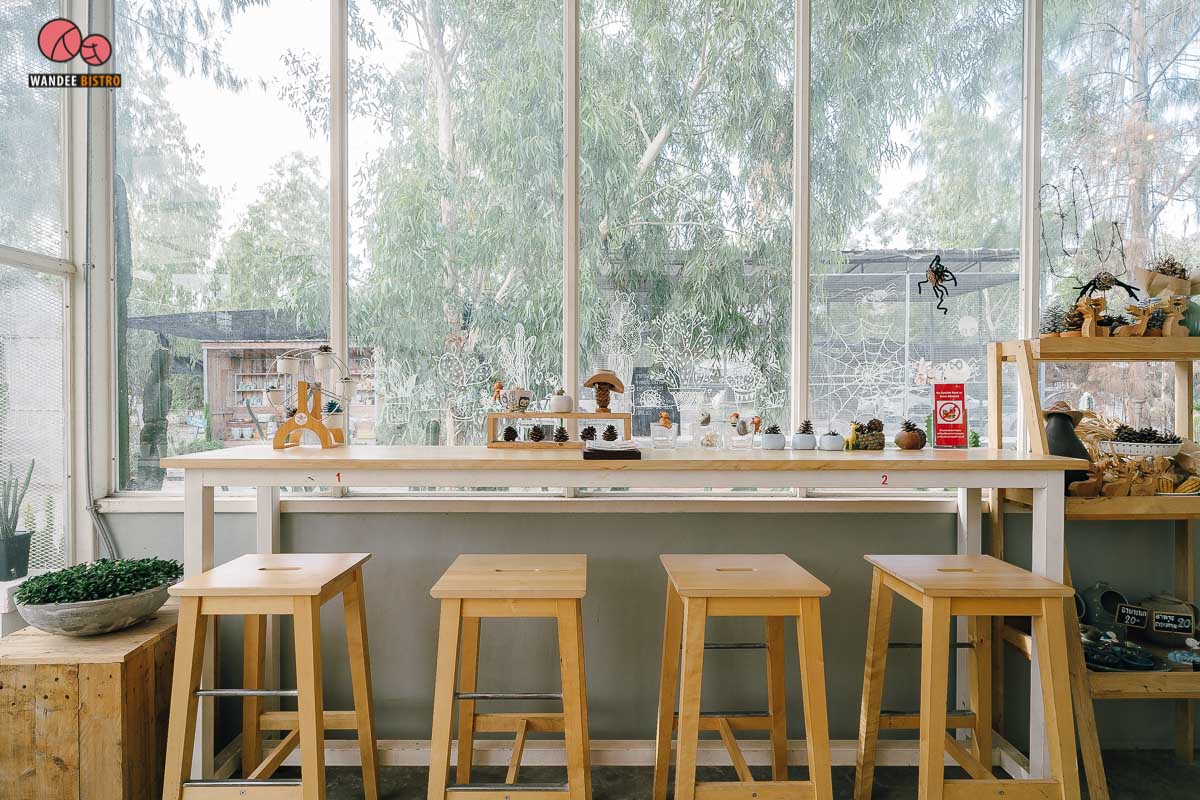 The Pine Farm & Cafe คาเฟ่ของคนรักแคคตัส คลองลัดมะยม
