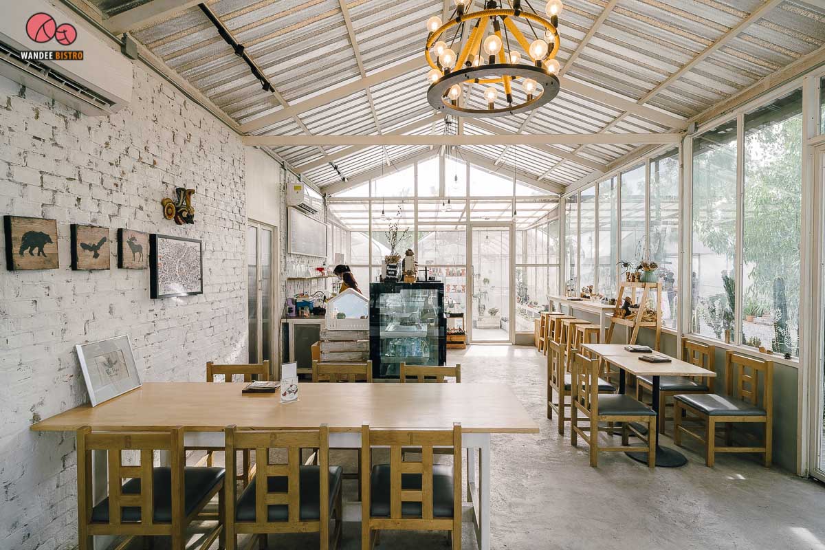 The Pine Farm & Cafe คาเฟ่ของคนรักแคคตัส คลองลัดมะยม