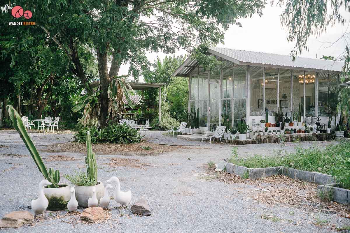 The Pine Farm & Cafe คาเฟ่ของคนรักแคคตัส คลองลัดมะยม