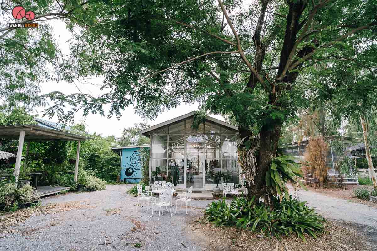 The Pine Farm & Cafe คาเฟ่ของคนรักแคคตัส คลองลัดมะยม