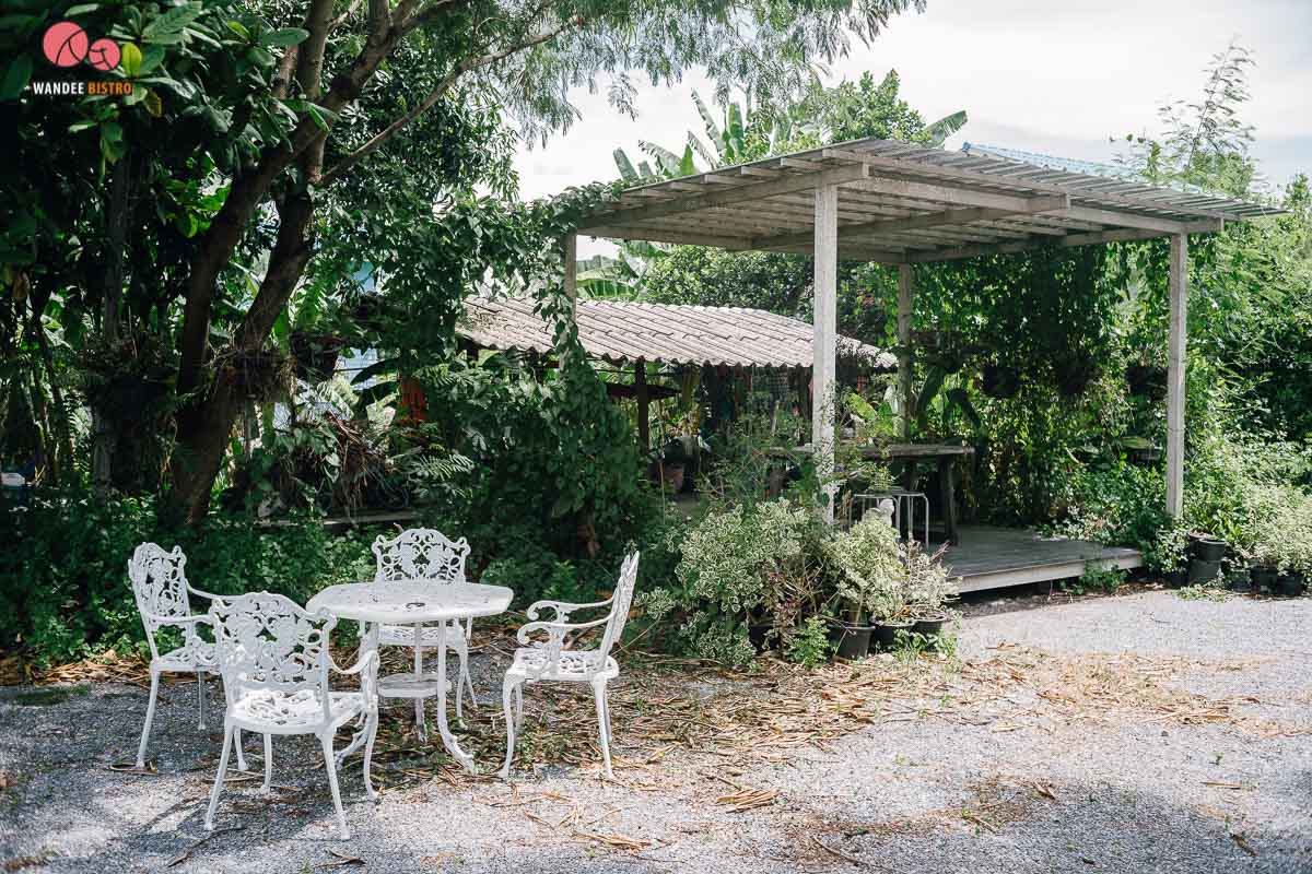 The Pine Farm & Cafe คาเฟ่ของคนรักแคคตัส คลองลัดมะยม