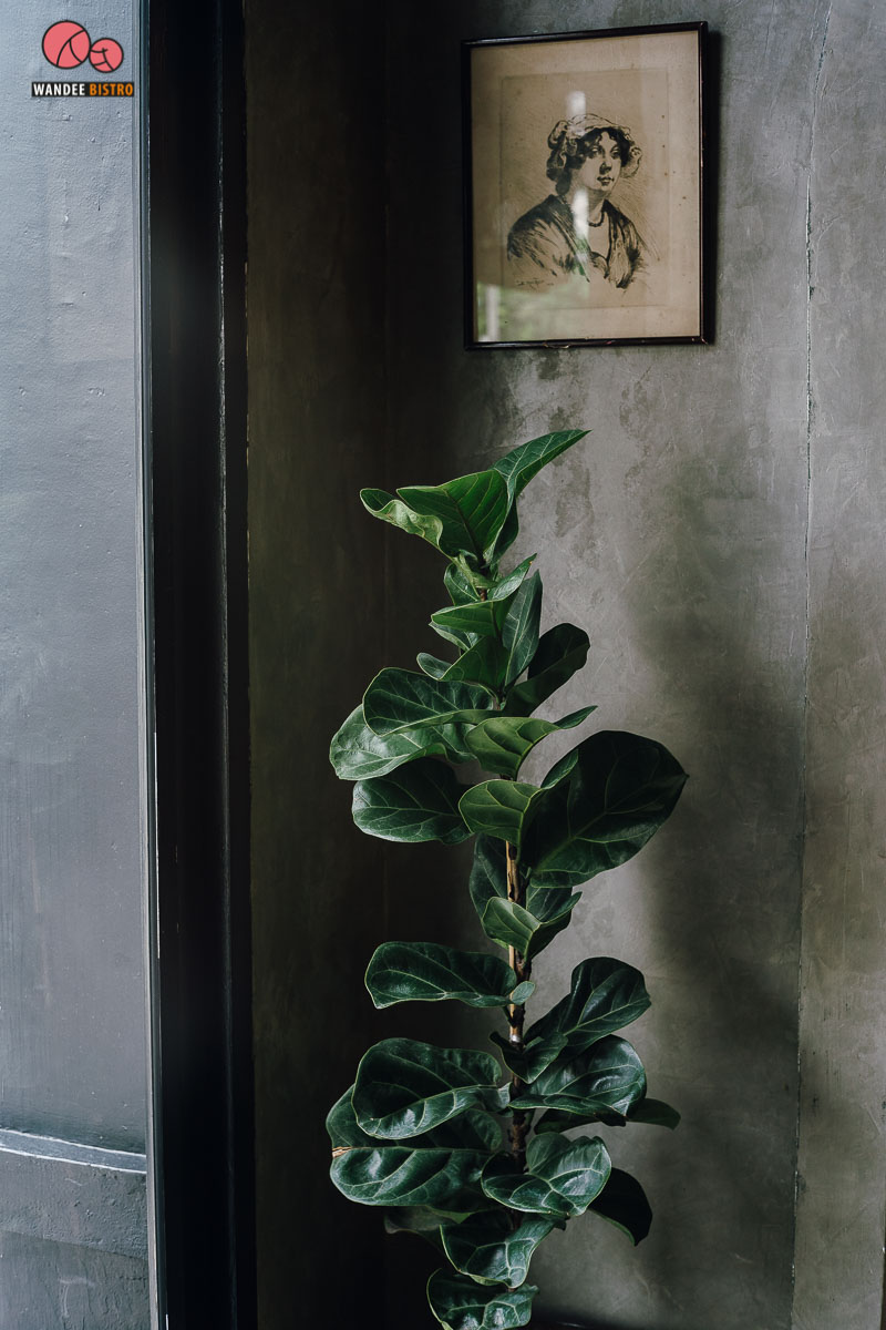 Black Wood café คาเฟ่แอนด์สตูดิโอ