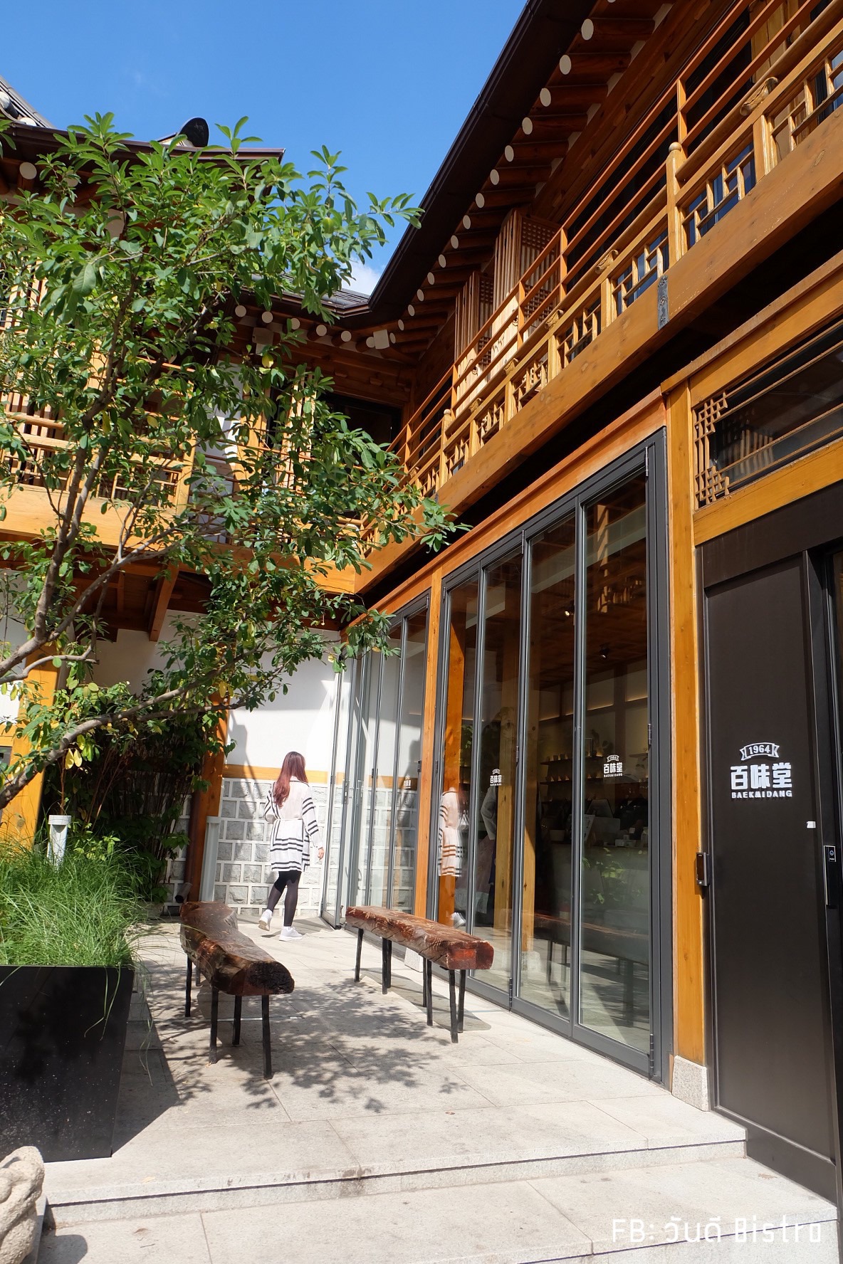 ซอฟต์ครีมออร์แกนิคสุดฟิน ตามไปกินได้ที่ แพคมีดัง (Baekmidang)