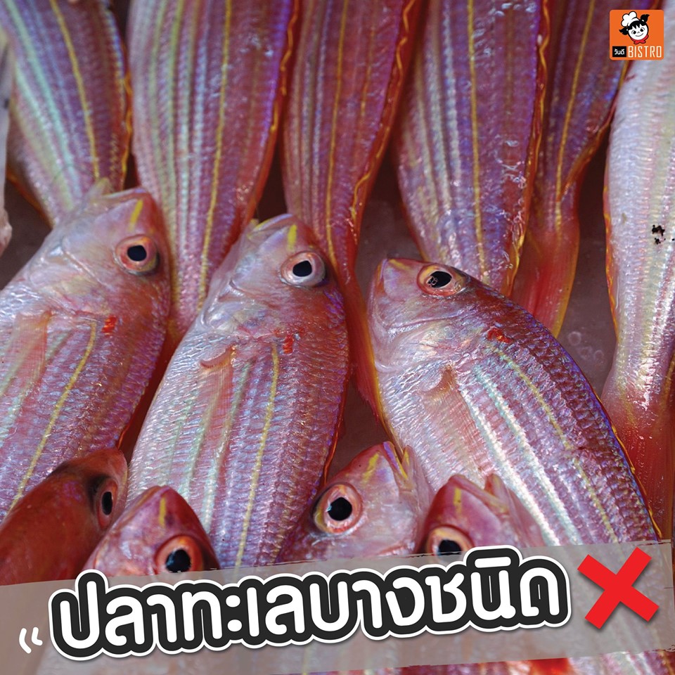 10 อาหารที่คนท้องต้องระวัง ห้ามกิน
