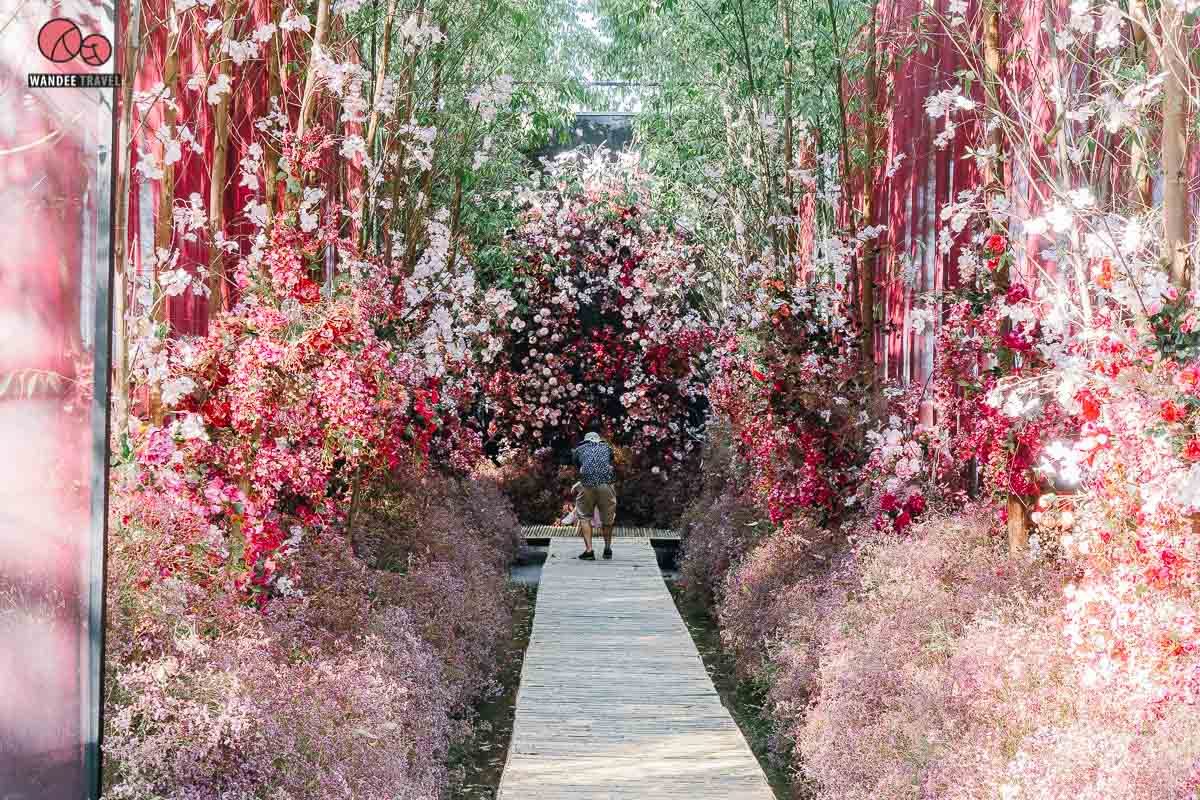 RakDok Floral Destination Hidden นิทรรศการดอกไม้ ถ่ายรูปสวยเหมือนอยู่ต่างประเทศ