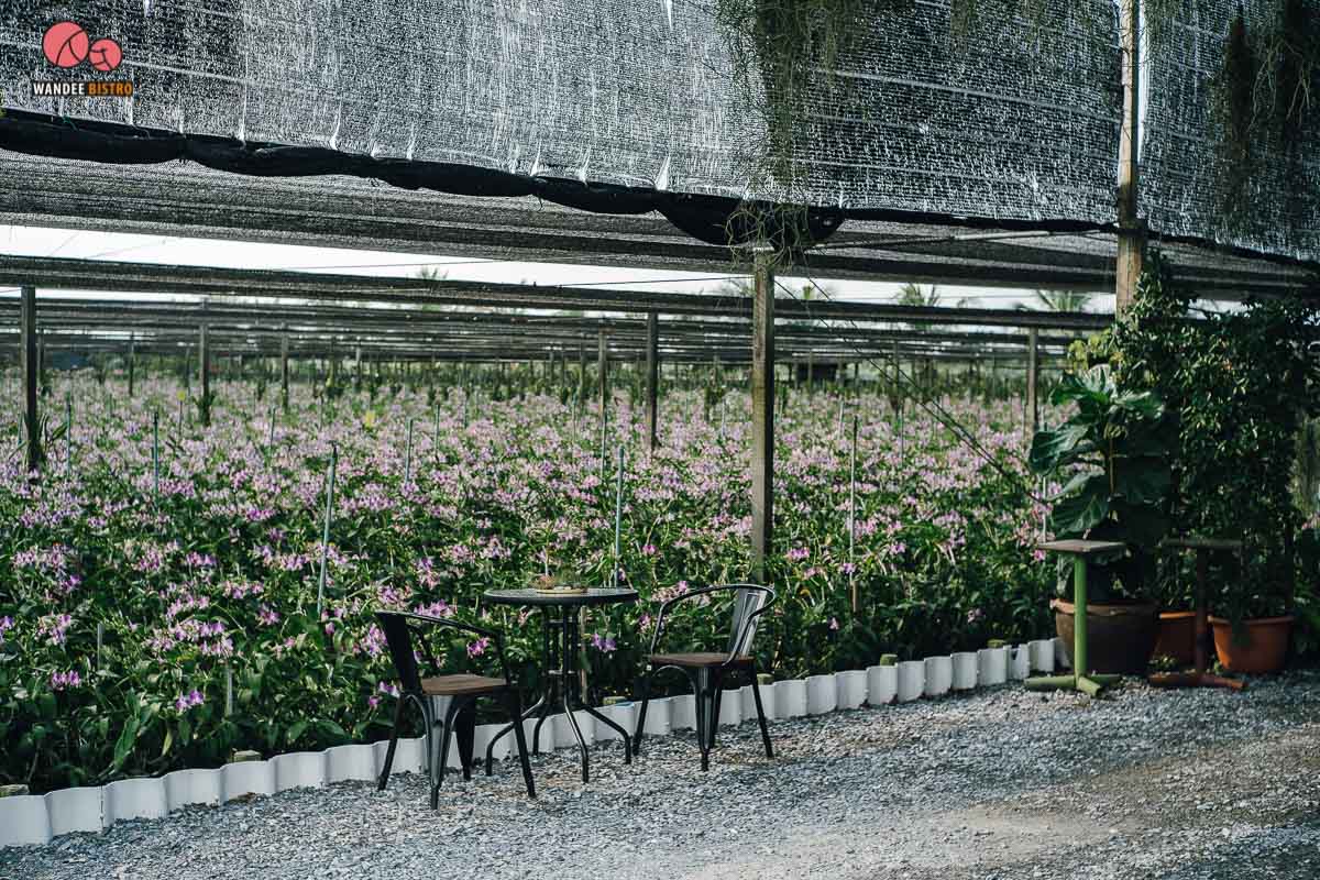 Botanica House คาเฟ่เล็กๆ ในสวนกล้วยไม้ น่ารักอบอุ่นกับเมนูโฮมเมด